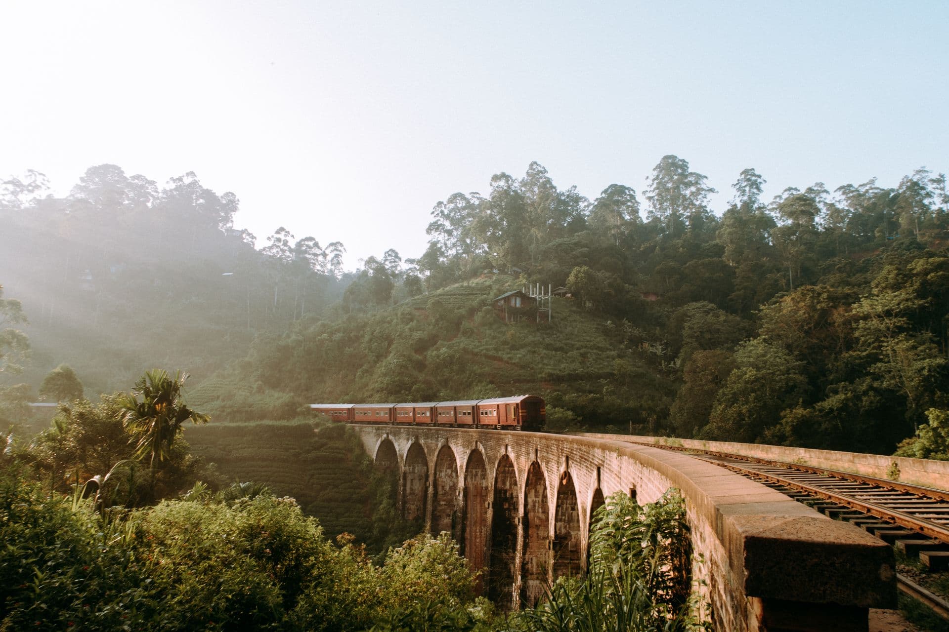 Scenic Train Journey